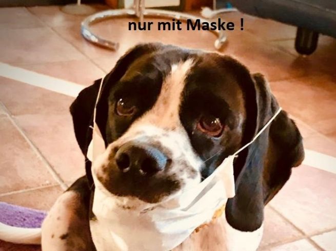 Bild-nur-mit-Maske-Kopie.jpg